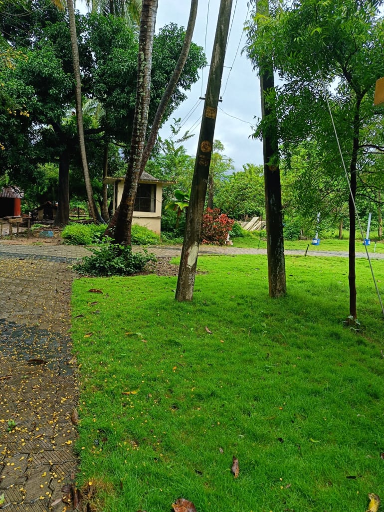 Old age home Idukki