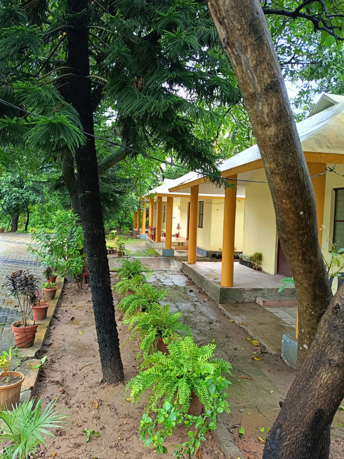 Old age home Idukki