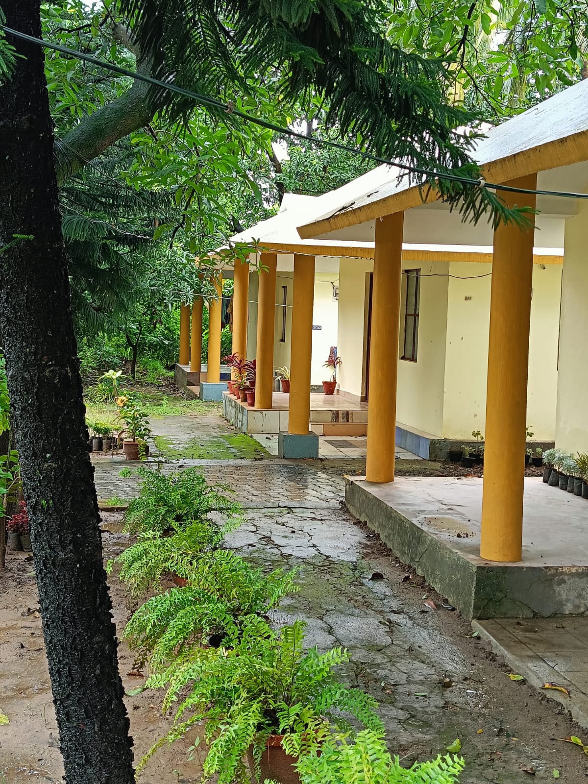Old age home Idukki