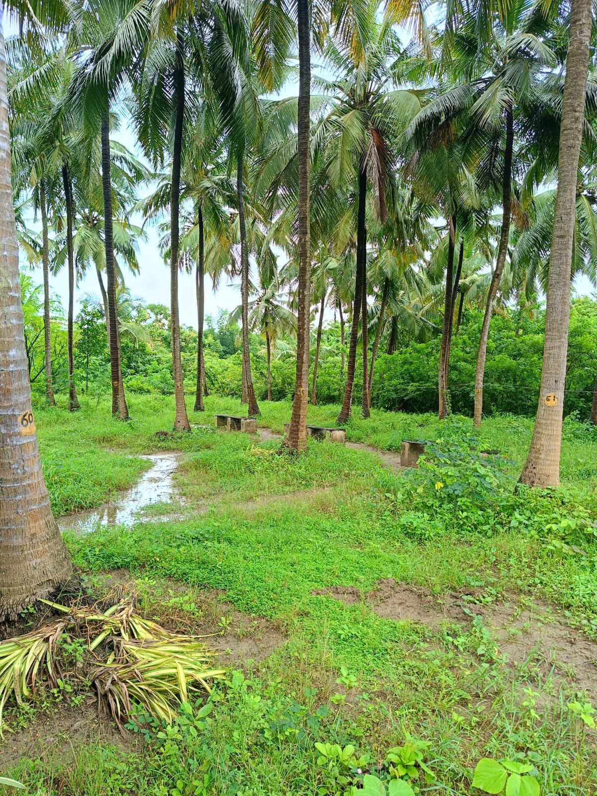 Old age home Idukki
