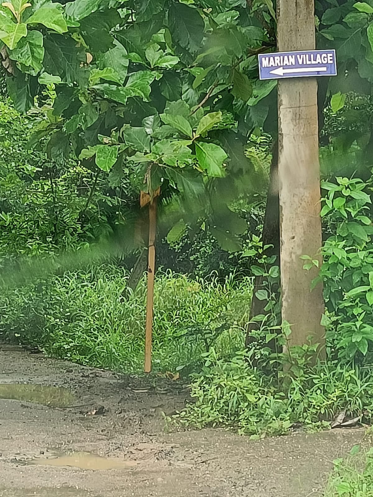 Old age home Idukki