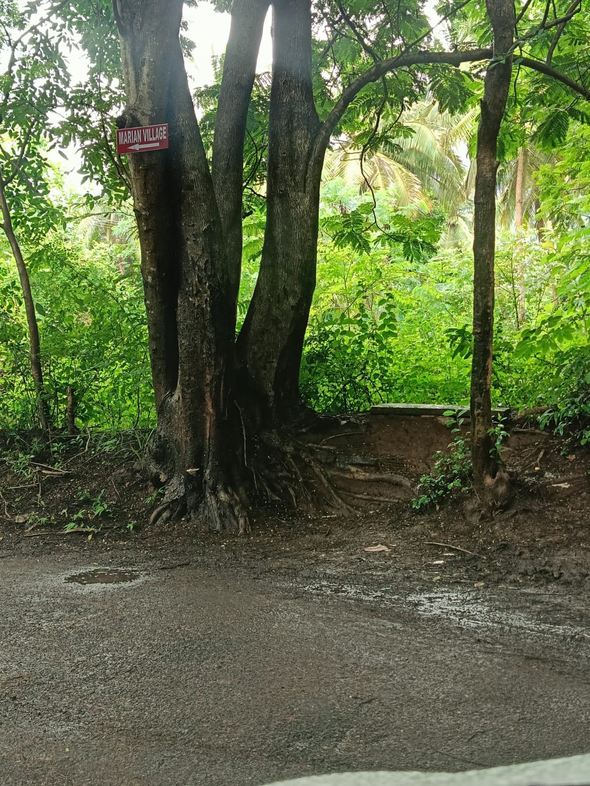Old age home Idukki